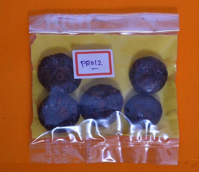 Red & Black Betel Nut (Supari)